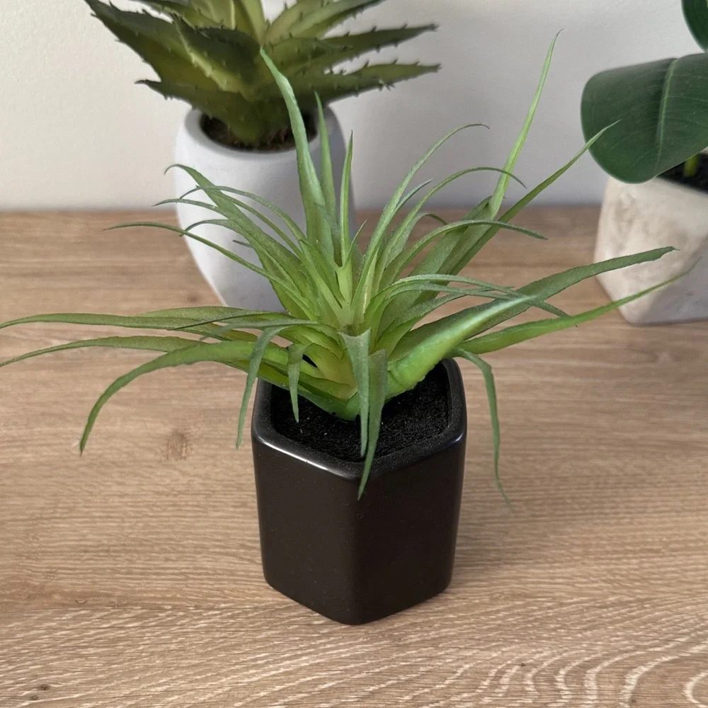 Target Project 62 Faux Plants (set 3)